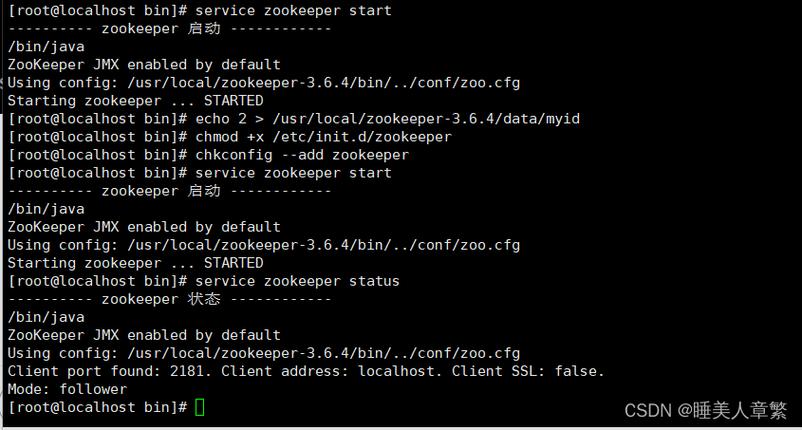 如何通过Debian Zookeeper安全加固策略，有效提升集群安全性，确保业务稳定运行？