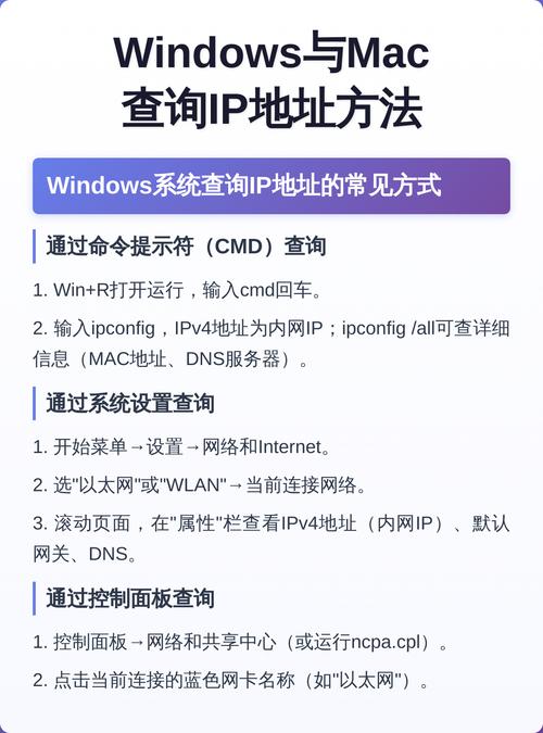 如何在本机上详细查看并获取IP地址和MAC地址信息？