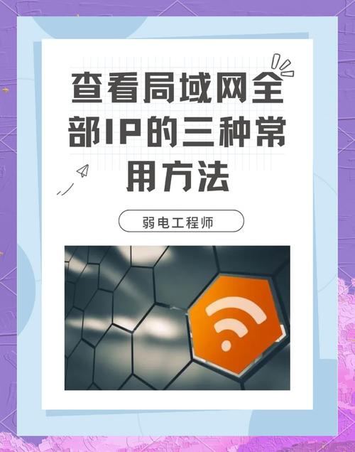 如何通过IP地址安全检查精准防范恶意攻击，构建稳固的网络安全防线？