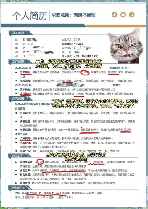 面试独立站运营岗位，零经验如何展现潜力成功应对面试？