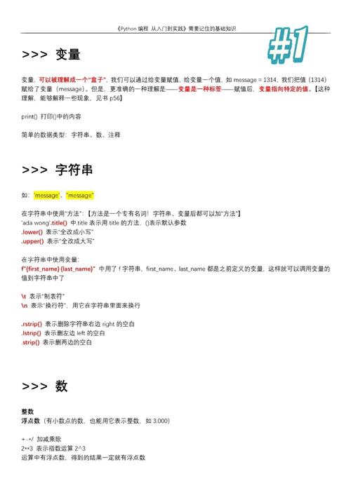 作为编程入门大学生，这篇文章能提供哪些实用的编程经验分享？