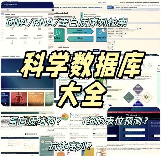 数据库序列在数据自动增长中扮演什么关键角色？