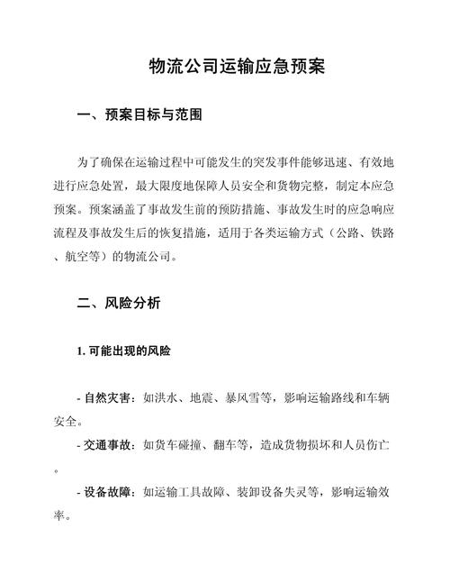 独立站新年发货如何应对物流挑战、制定备货策略和应急预案？