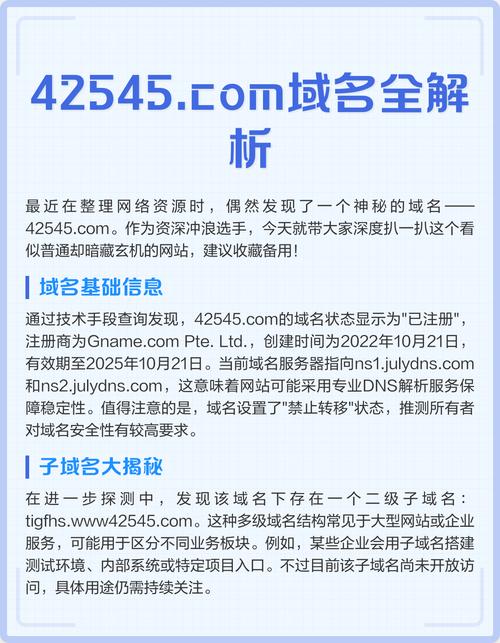 我的网站域名背后隐藏着哪些神秘信息？