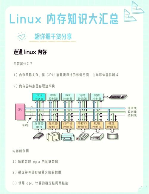 如何快速获取Ubuntu内存信息并据此优化配置，有效提升系统运行效率？