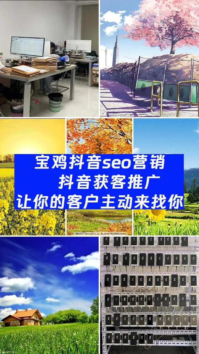 宝鸡SEO培训哪家口碑最好，你了解哪家机构？