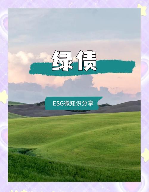 哪些绿色债券支持项目目录在区分对待时需要特别关注？