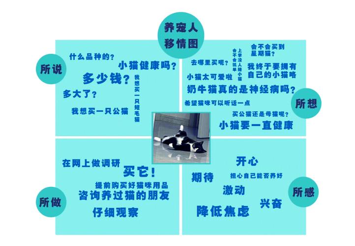 如何通过需求设计深入洞察并满足用户情感需求？