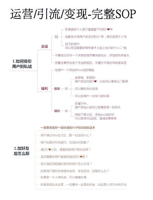 如何从0到1打造TK独立站，揭秘李思背后的流量密码与增长心法？