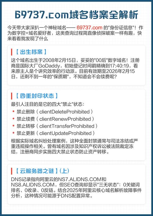 我的网站域名背后隐藏着哪些神秘信息？