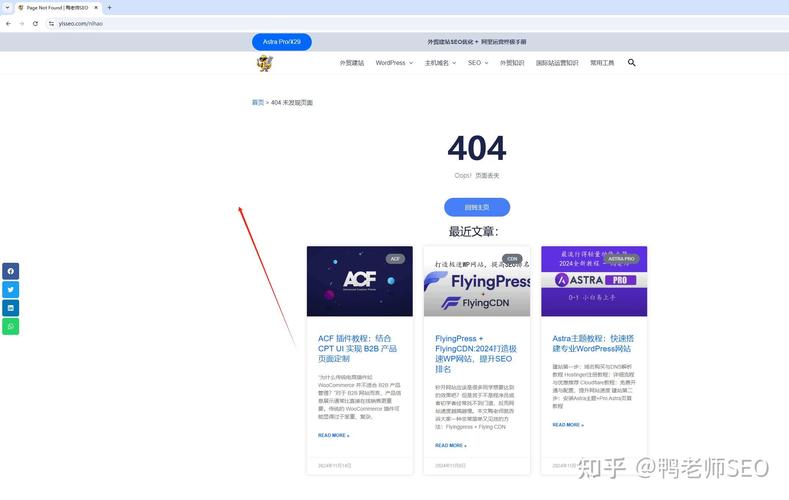 如何通过妥善处理网站404错误来维护和提高SEO排名？