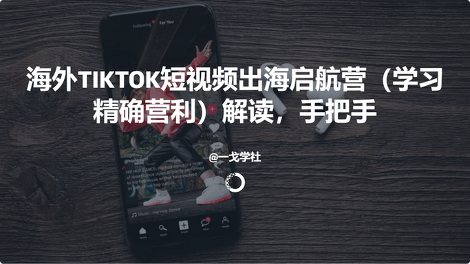 独立站领域王者是谁？顶尖服务商成功密码如何探寻？