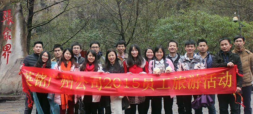 大丰SEO网站开发专家，哪家服务更专业呢？
