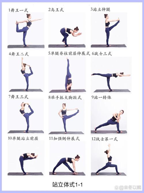 瑜伽新手小白如何轻松跟练独立站动作视频教程？