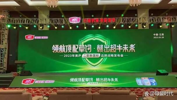如何通过构建品牌壁垒和价值深化策略，有效提升独立站高客单价？
