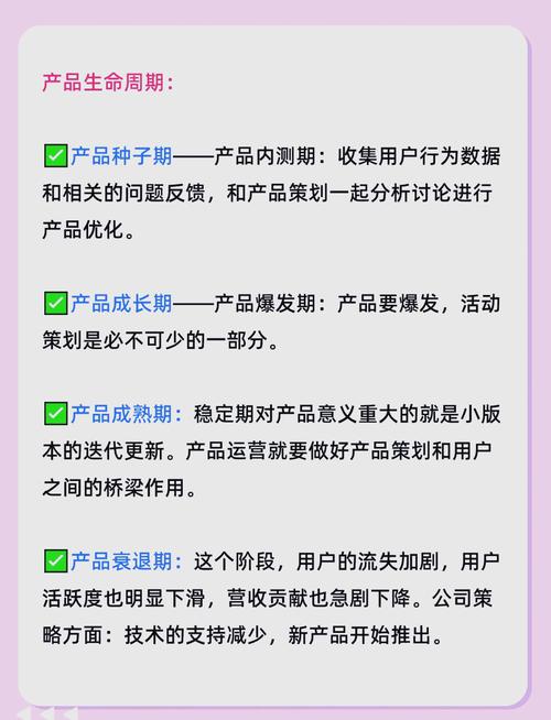 如何通过精准定位和高效运营打造爆款产品？