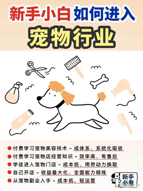 如何零基础轻松进入独立站宠物店行业？