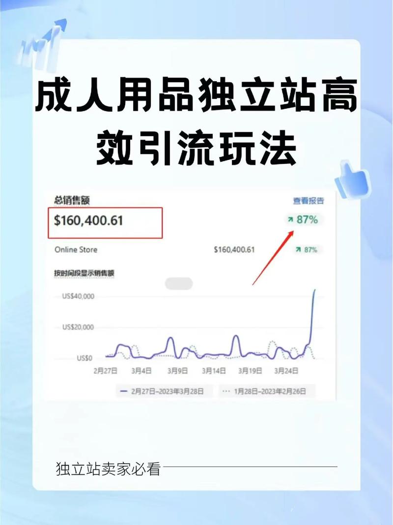 如何合规开展独立站成人用品业务，精准定位市场并有效获取流量？