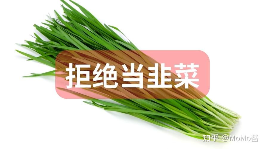 如何识别和防范独立站割韭菜的套路？