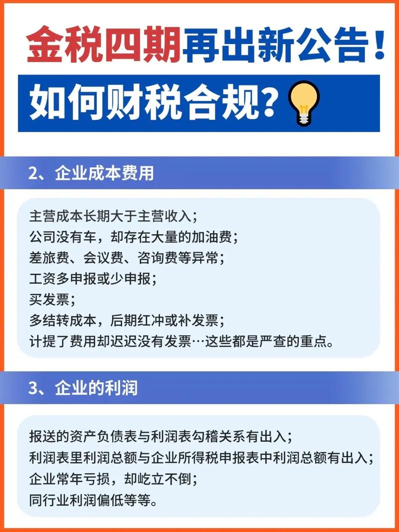 独立站税务报送中，我的收入数据如何被严格监管以确保合规？