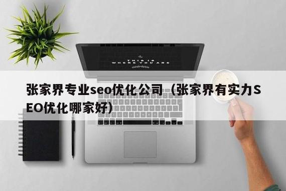 张家界SEO专家，你们提供专业的外包服务吗？