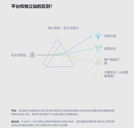 如何区分独立站与虚拟仓在跨境电商中的应用选择？