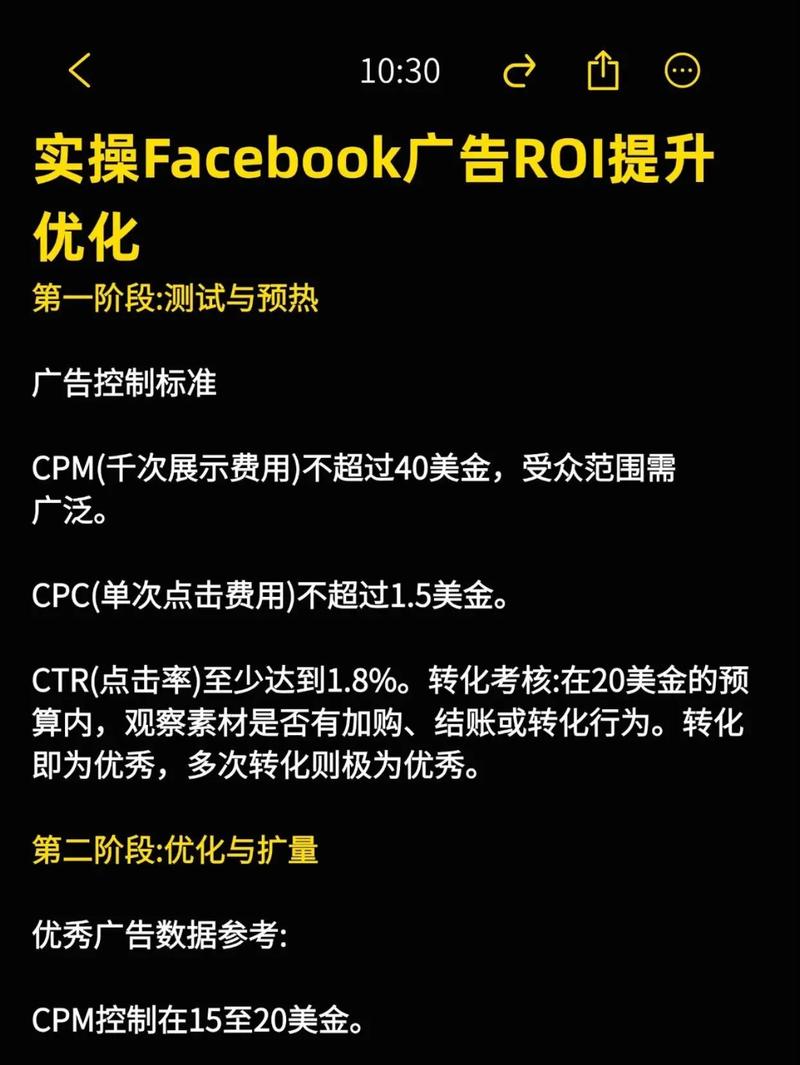 如何通过专业分析网站降低独立站广告成本，提升ROI达30%？