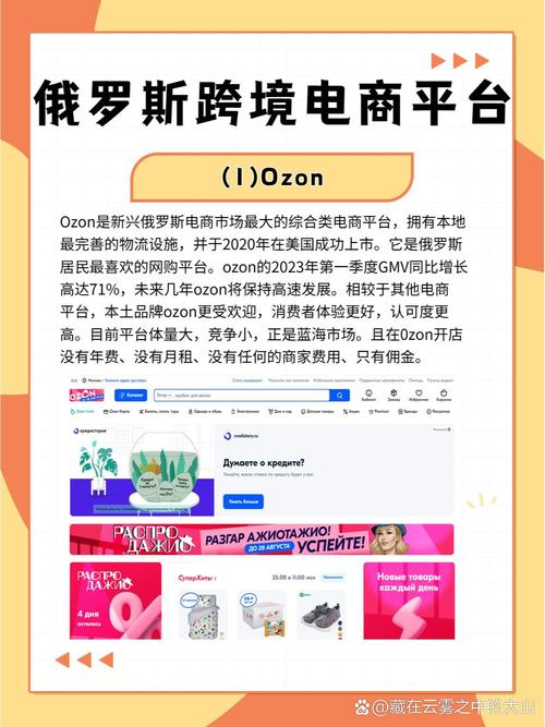 俄罗斯独立站跨境电商，如何抓住机遇应对挑战，找到破局之道？