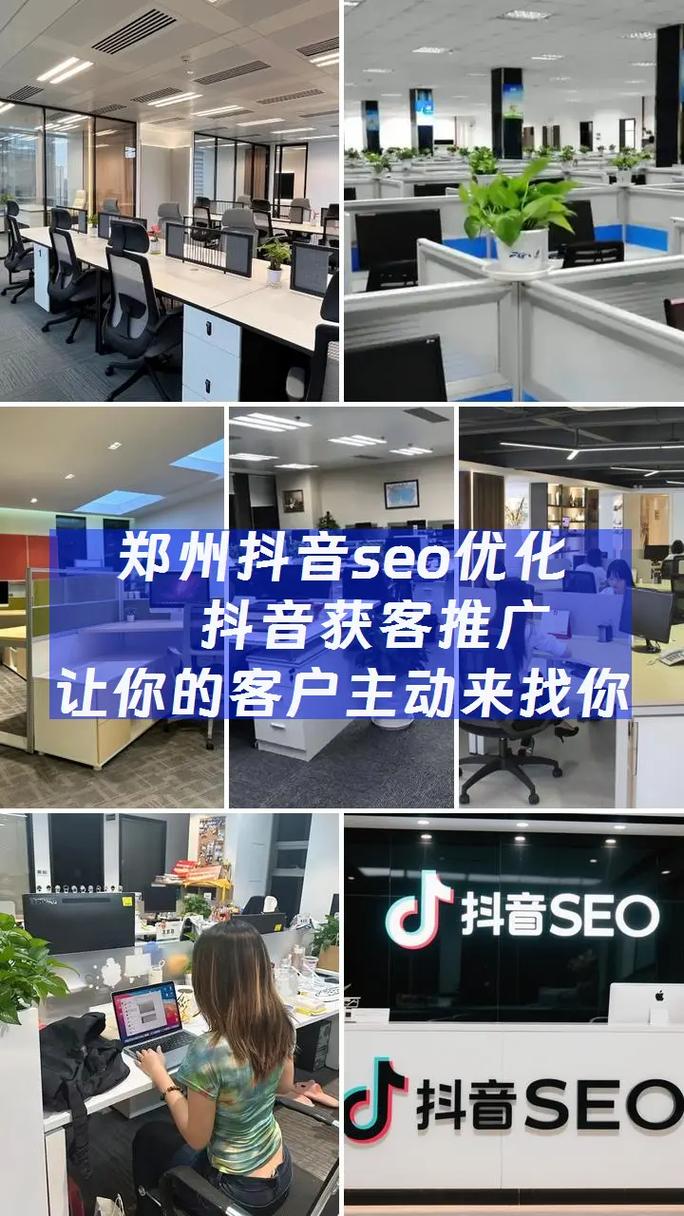 郑州SEO优化专家，哪家服务更值得首选呢？