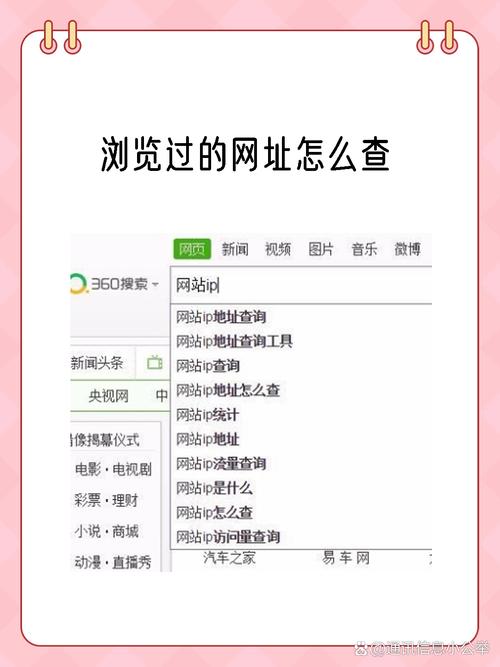 如何轻松探查网站全貌，一招就能掌握页面总数？