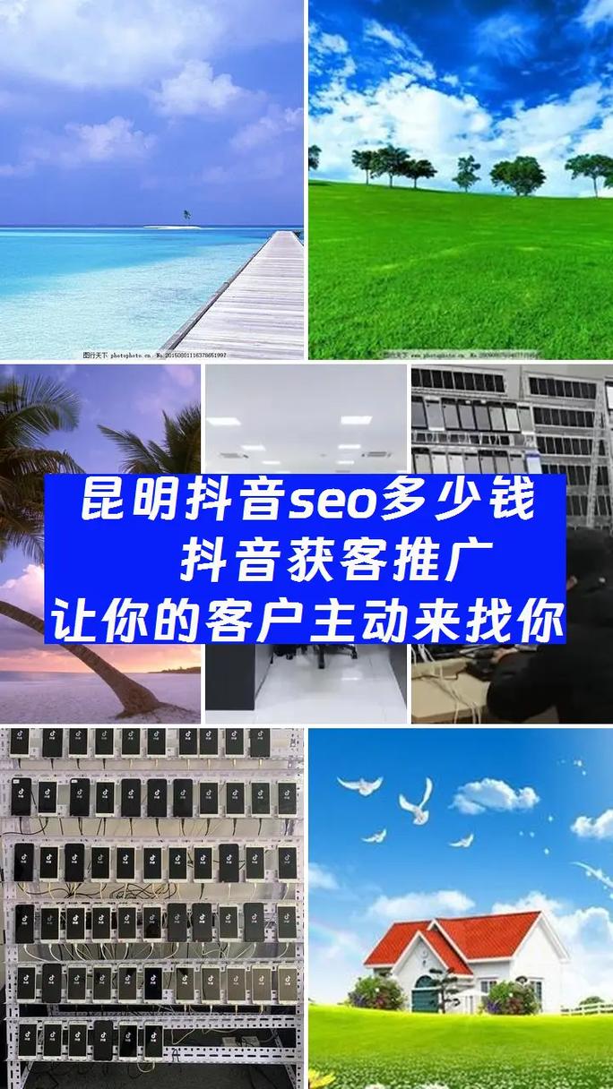 昆明SEO专家，你们能提供专业的优化服务吗？