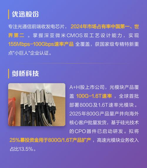 电子芯片企业是否需要从可选独立站升级为必选战略？