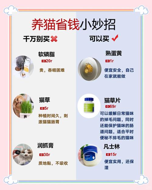 如何降低50%成本开设独立站卖宠物？新手避坑指南与成本构成解析？
