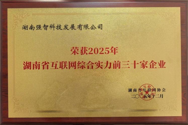 湘湘SEO智优团，湖南智谋领航者，哪家是真正的湖南SEO行业佼佼者？