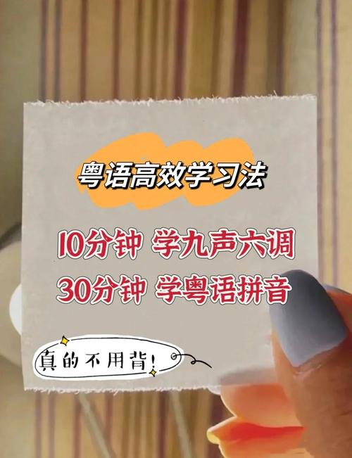 如何快速掌握外贸运营粤语技巧？新手入门必看指南有哪些？