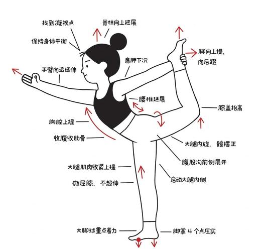 如何通过力学原理和练习方法，将舞蹈单腿独立站动作的稳定与美感完美融合？
