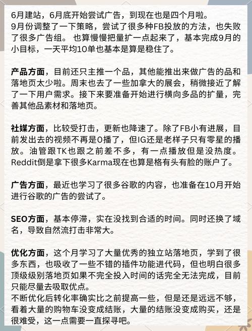 独立站跨境电商收益与挑战，真实效果如何？