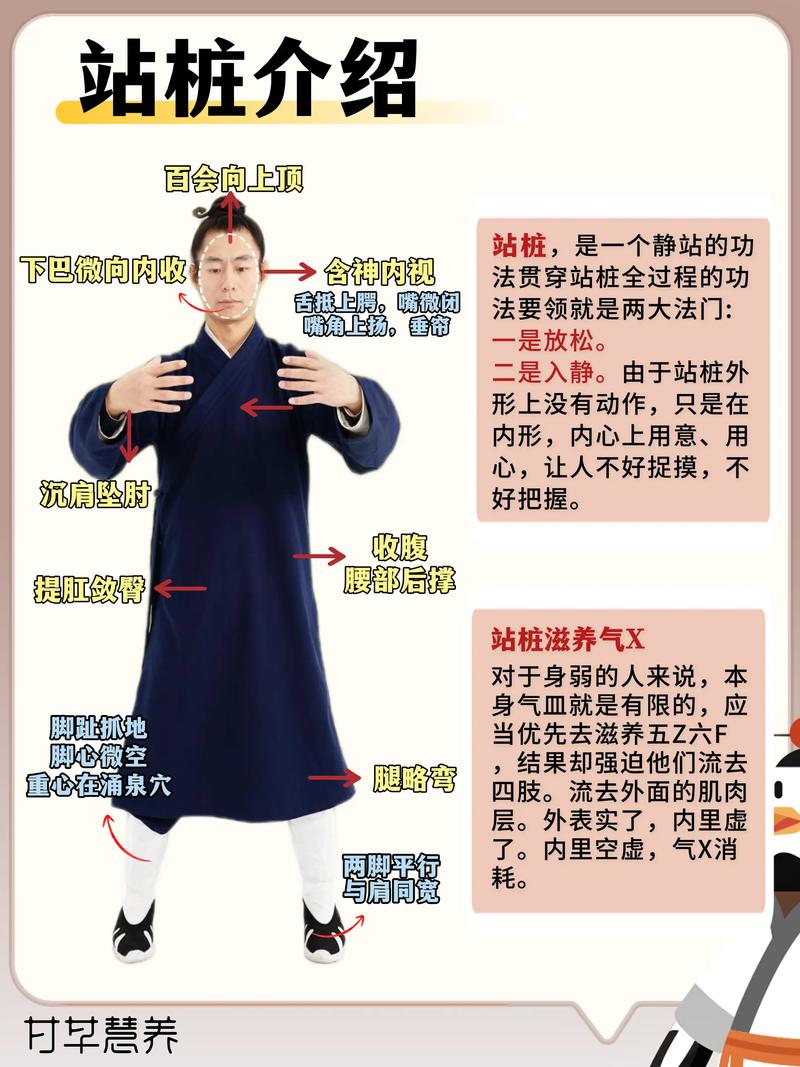 站桩功和金鸡独立哪个更适合我？如何根据个人体质选择？