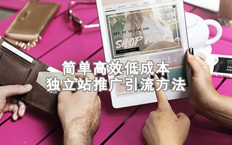 独立站广告引流成本高吗？全方位解析与优化技巧？