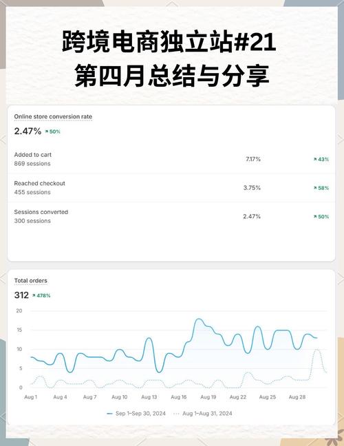 独立站跨境电商收益与挑战，真实效果如何？