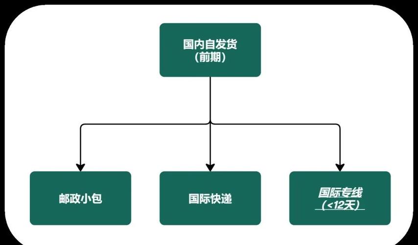 如何选择合适的发货地和模式，助力独立站新手高效发货？