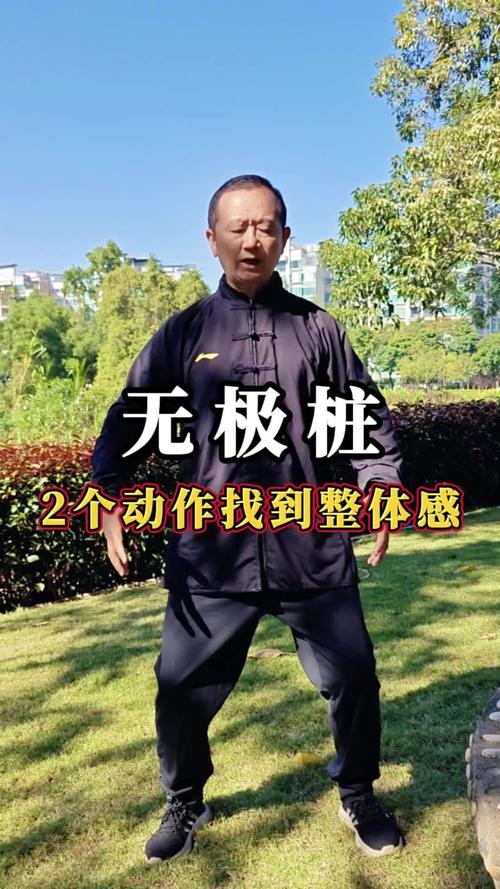 无极桩独立守神站桩视频，如何正确练习以达到最佳效果？