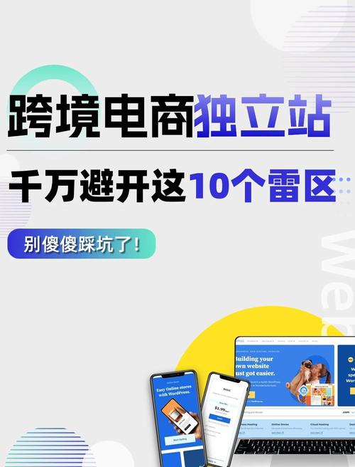 如何选择独立站跨境电商执照，一图避坑省3000元？