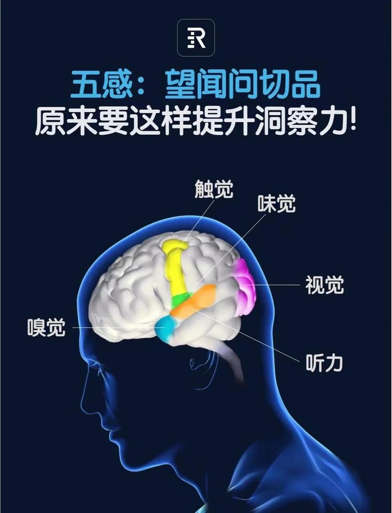 如何将数据洞察焕新升级，实现非凡洞察力？