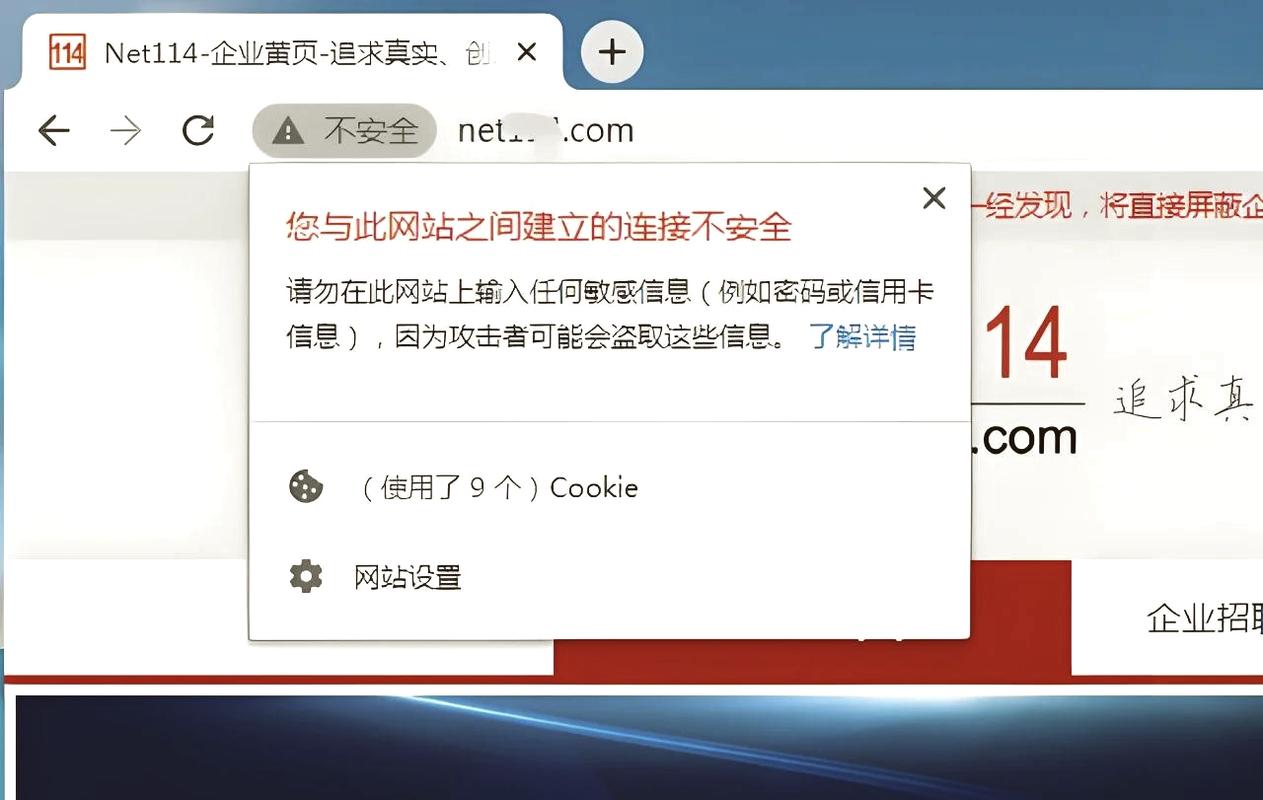 邯郸SEO修复后如何确保网站安全无忧不再成为问题？