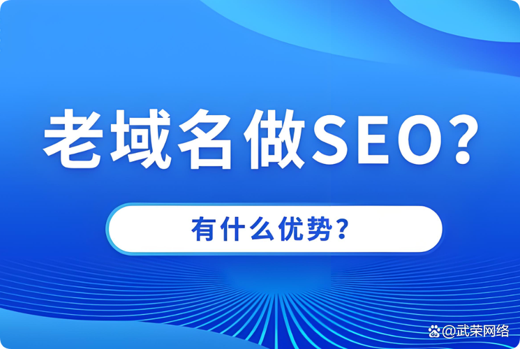 域名对SEO优化效果的影响究竟有多大？