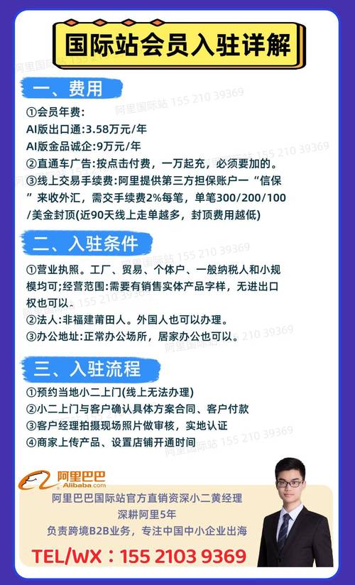 阿里独立站是跨境电商新风口还是鸡肋？独立站与传统平台有何区别？