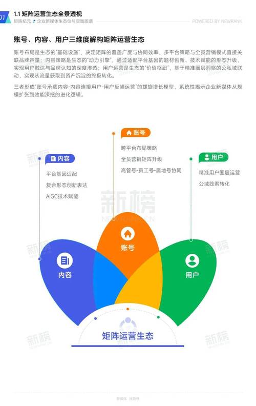 智媒矩阵如何实现精准触达？