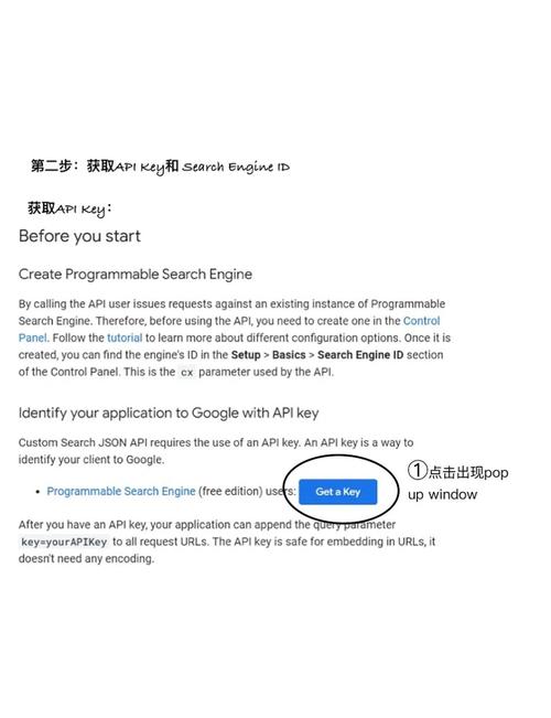 如何高效利用谷歌搜索技巧独立获取网站详细网址？