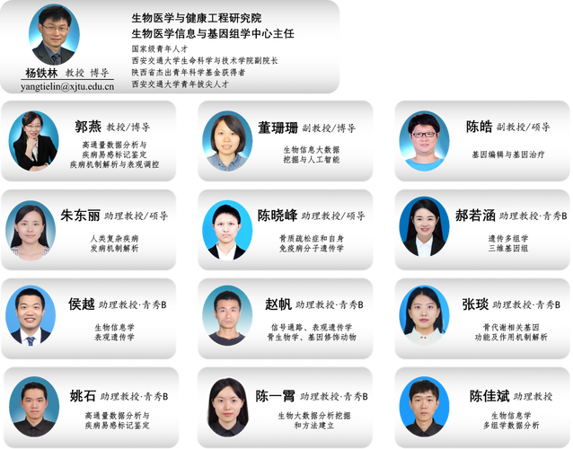 沈阳SEO优化专家团有哪些成员？